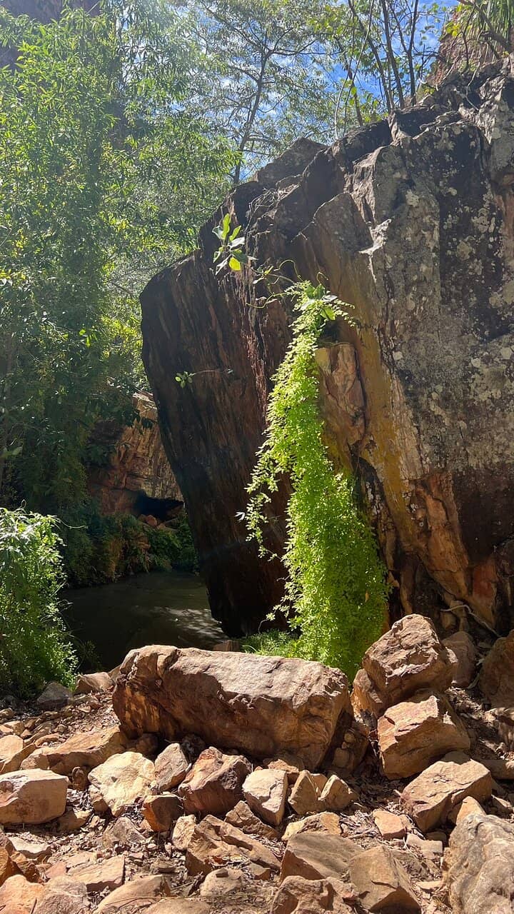 Dramatic Gorge Walls