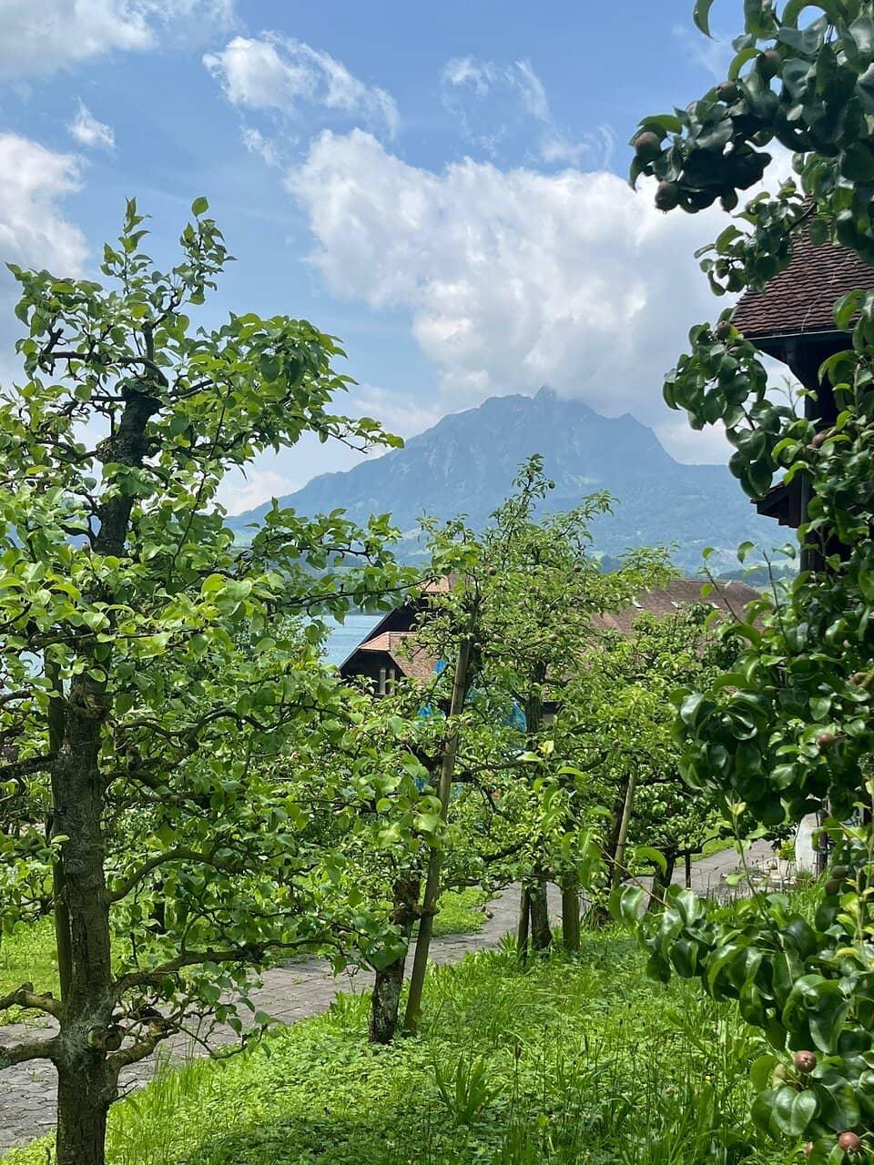 Breathtaking Lake Views