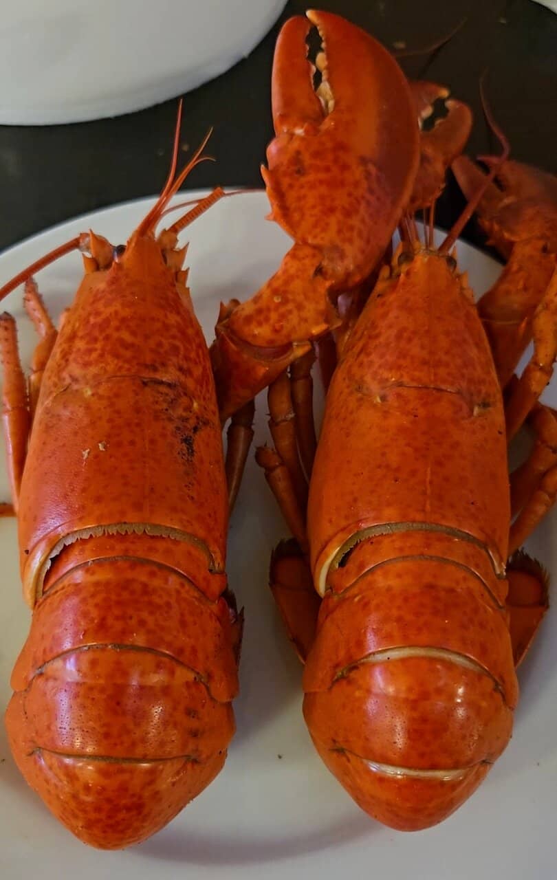 Variety of Hot Dishes