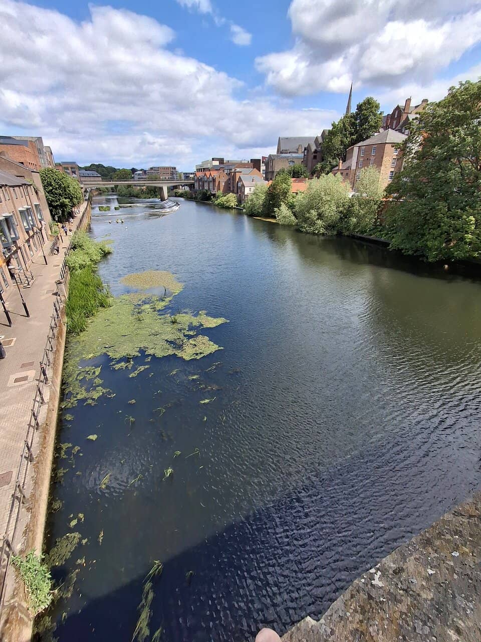 Panoramic River Views