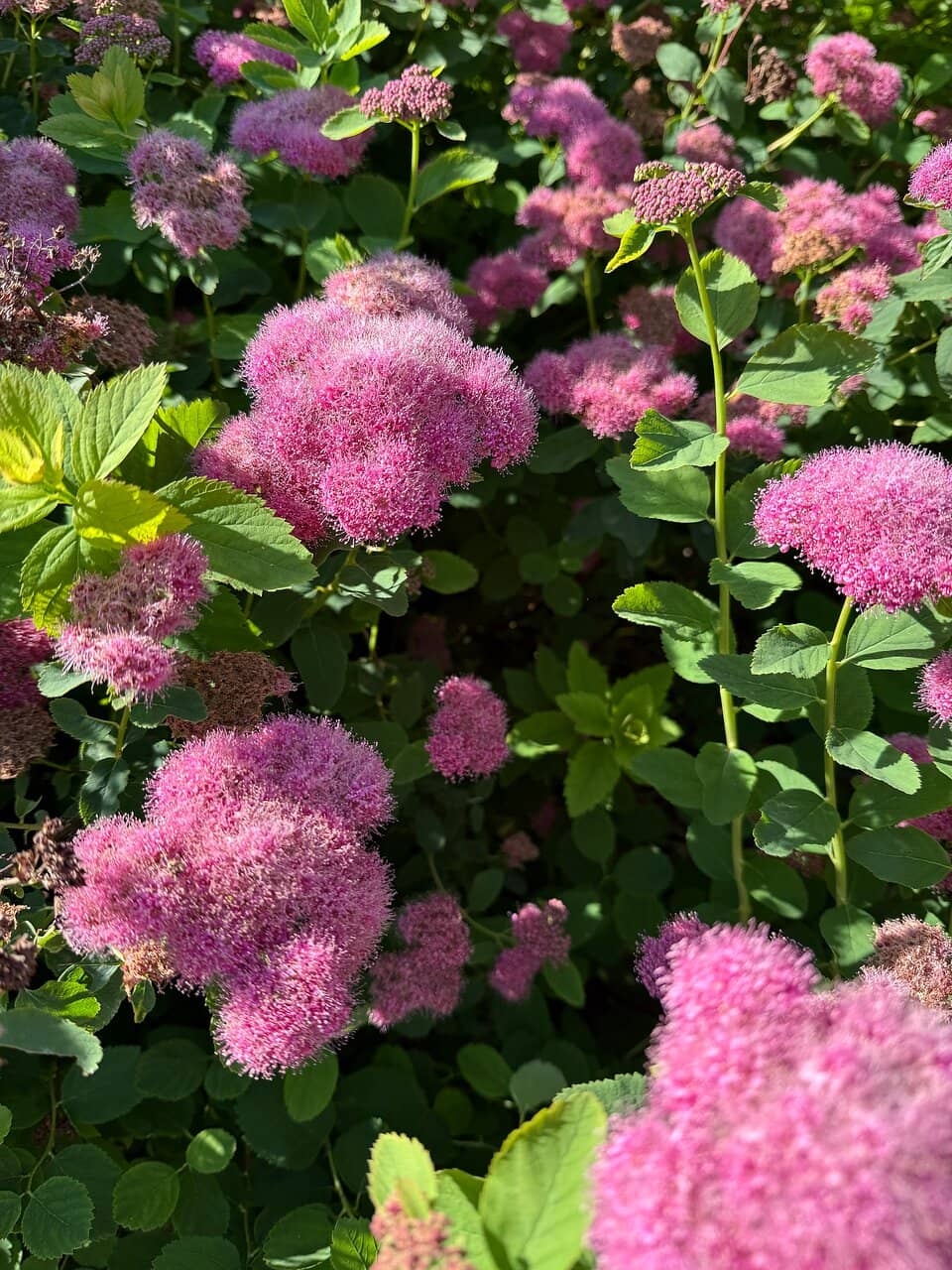 Climate Change Exhibition Area