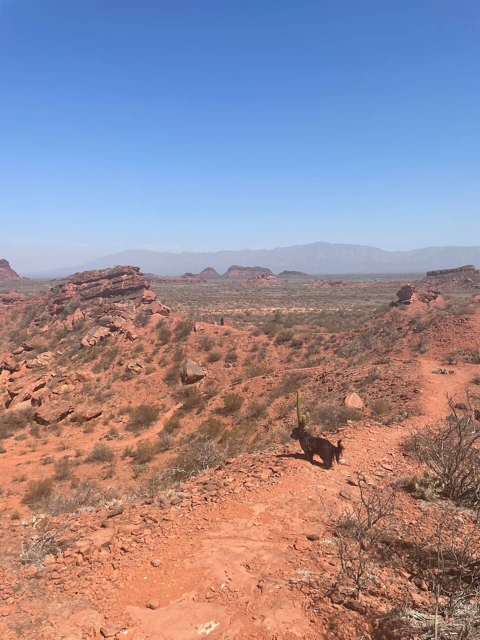 Chacho Cave & Natural Bridge