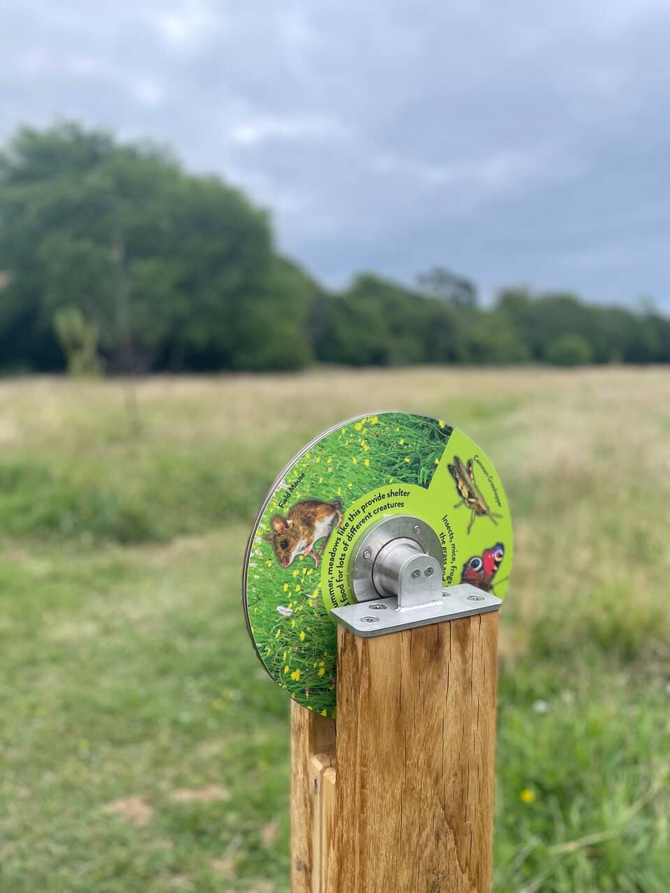 Adventure Playground