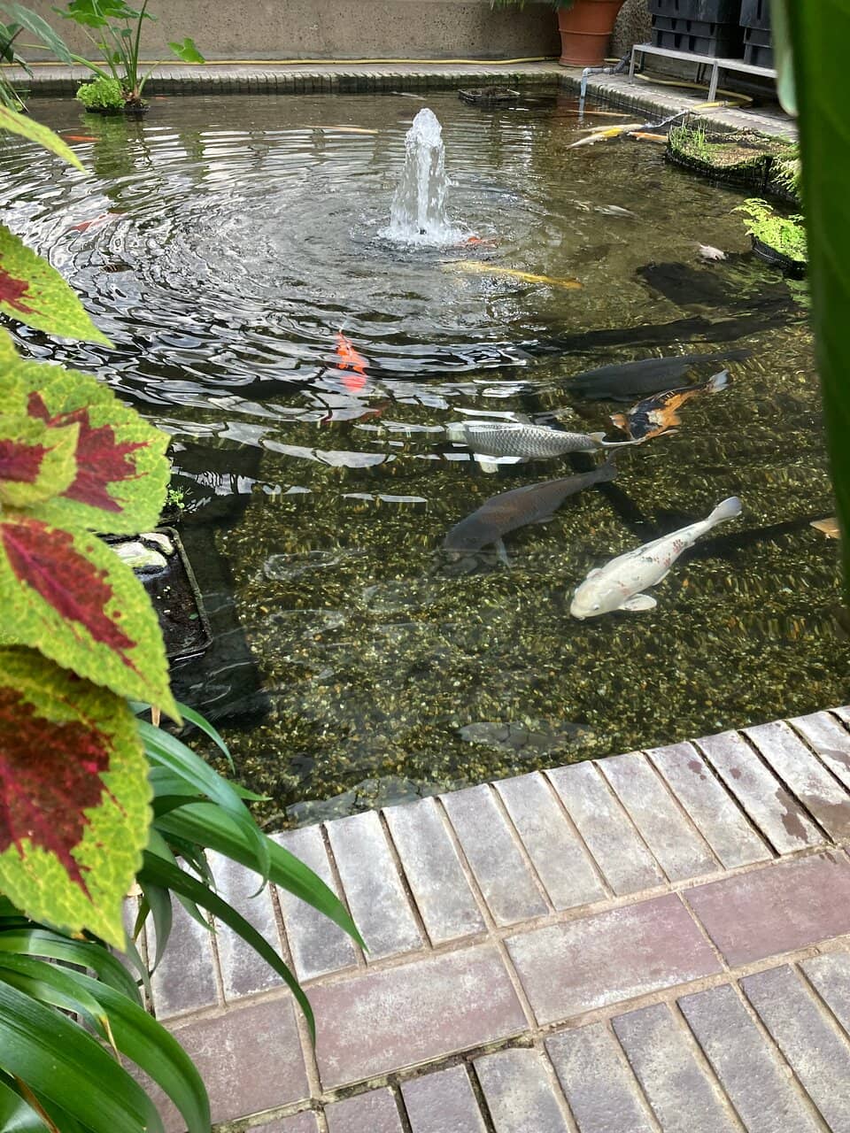 Brutalist Architecture Contrast