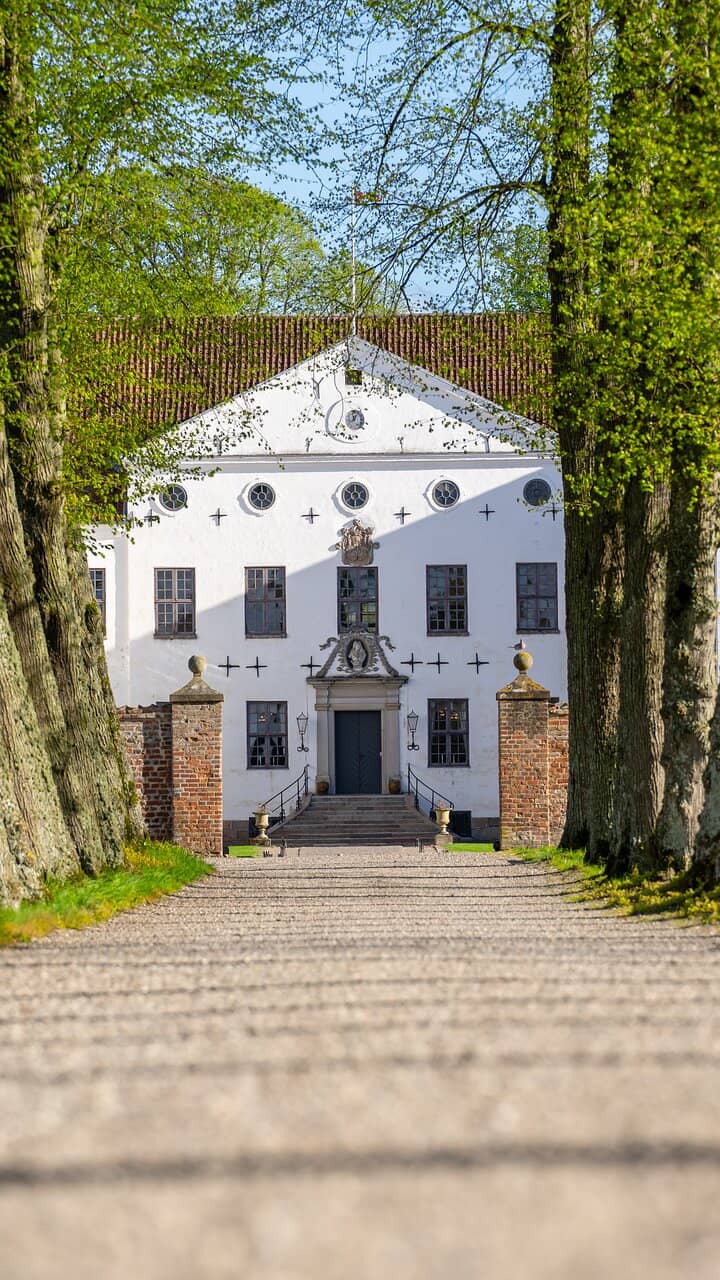 The Castle Grounds