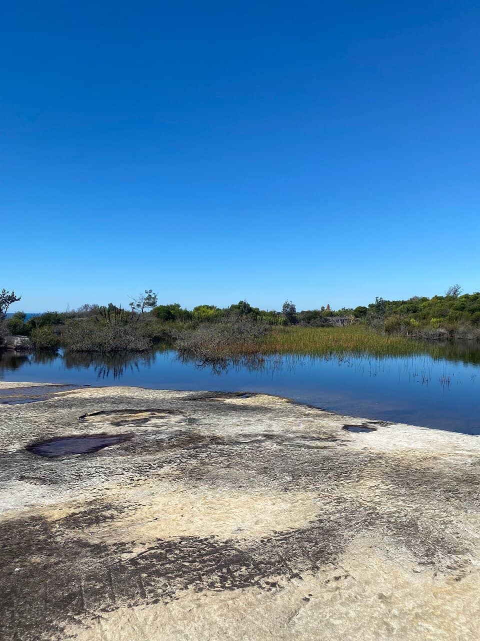 Whale Watching Spots