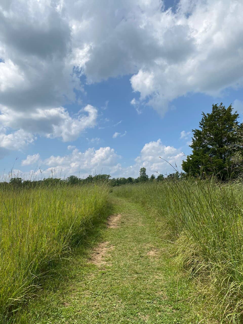 Catch and Release Pond