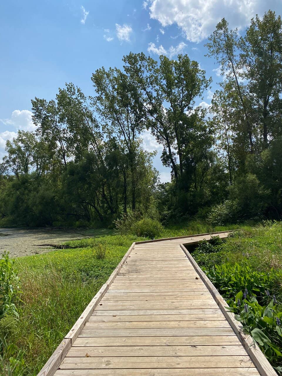 Family Farm Trail