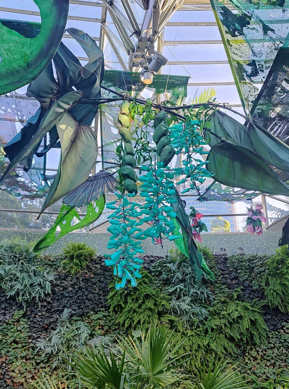Floral Exhibitions