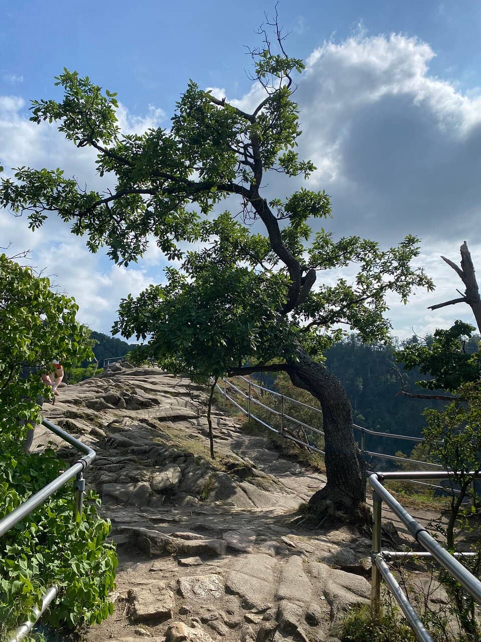 Hiking Trails