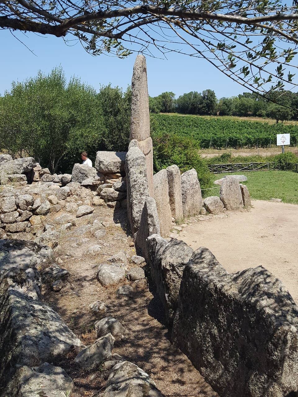 The Monumental Stele