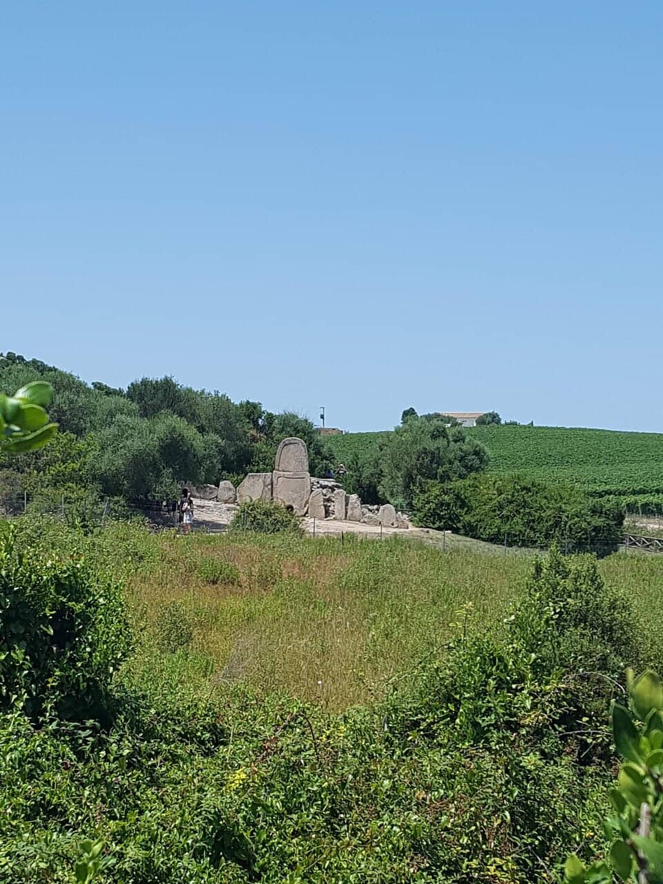 The Monumental Stele