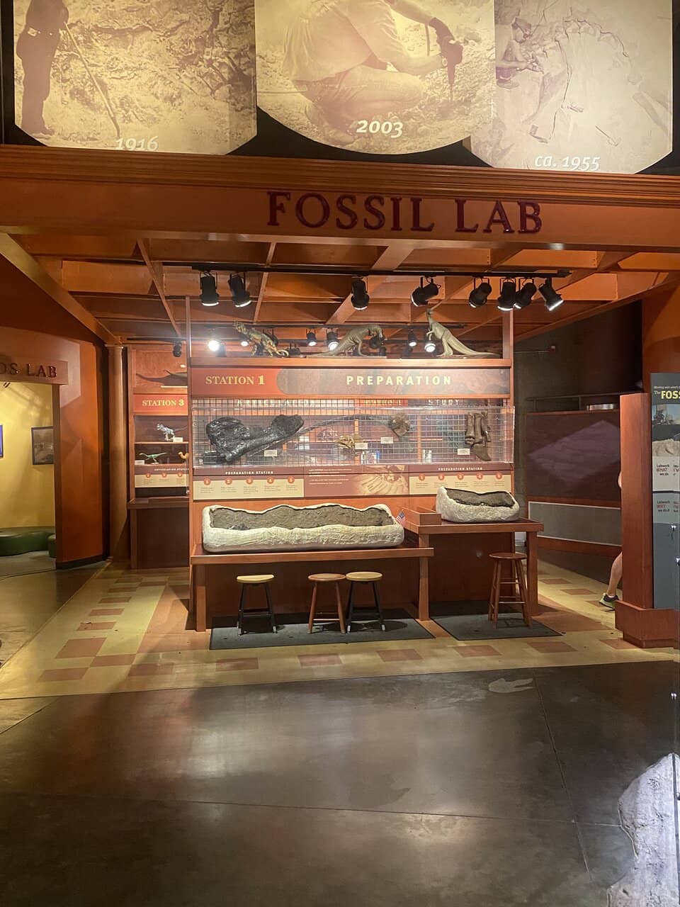 Glowing Minerals Room