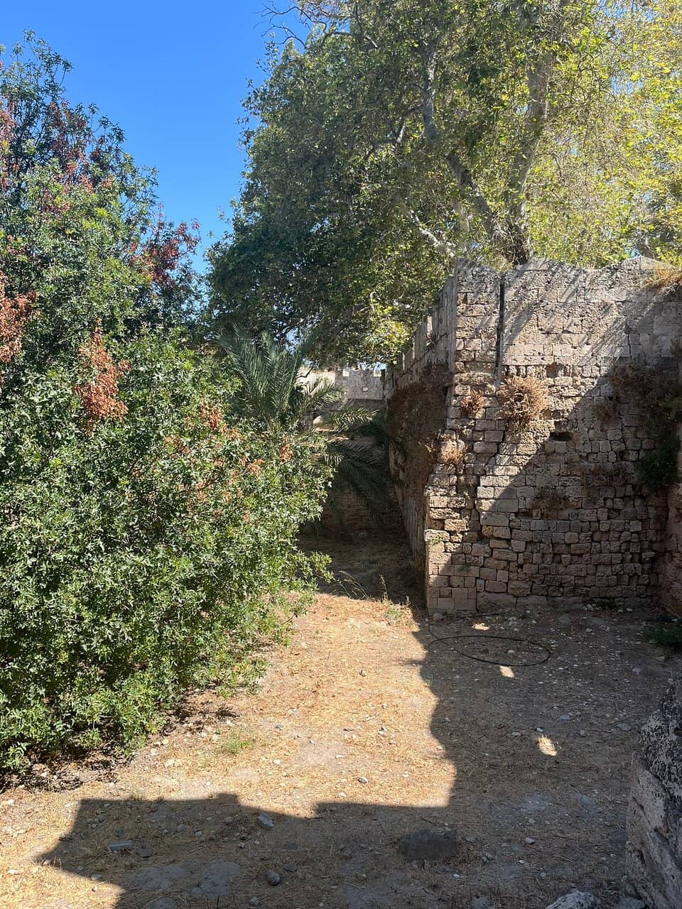 Gecko Spotting Opportunities