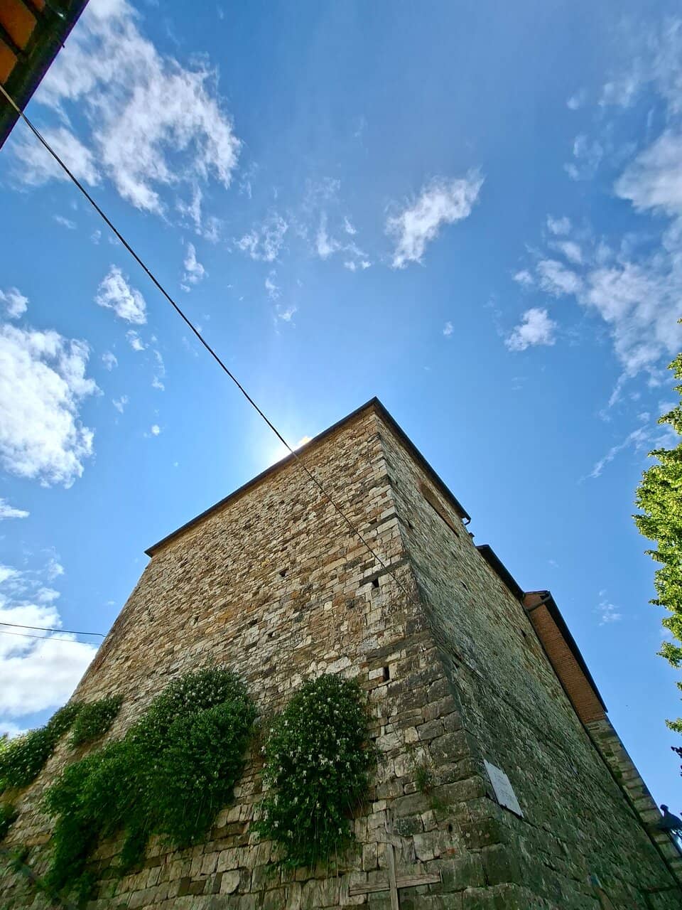Vertical photo