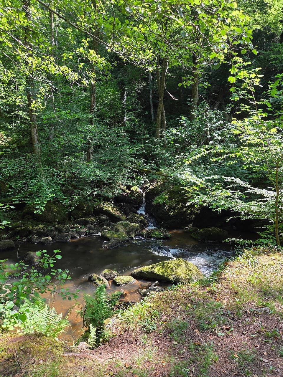 Scenic Trekking Trails