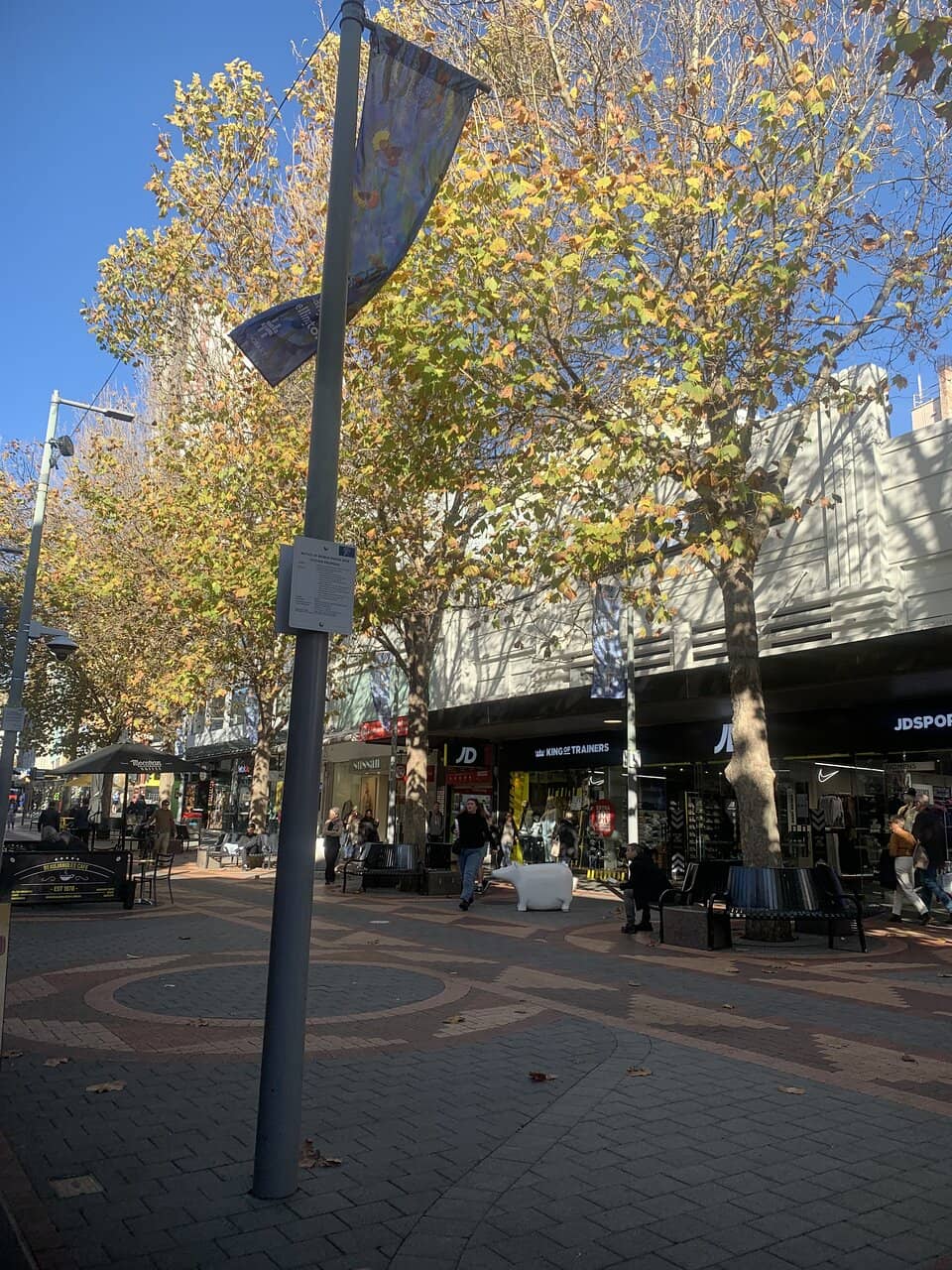 Cat and Fiddle Arcade