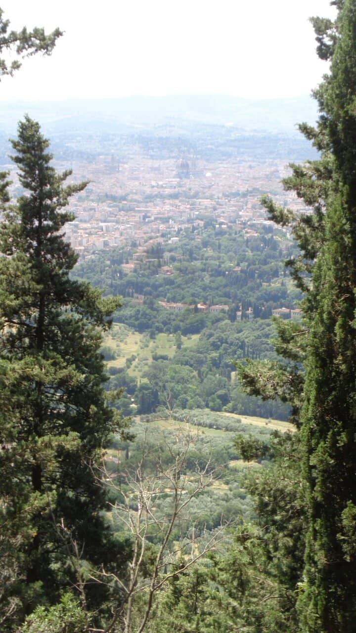 Leonardo da Vinci's Flight Experiments