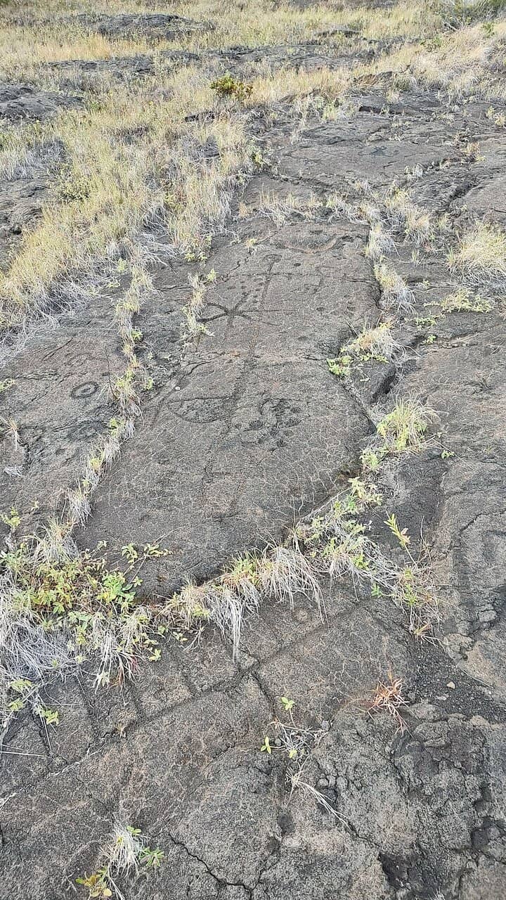 Informative Boardwalk