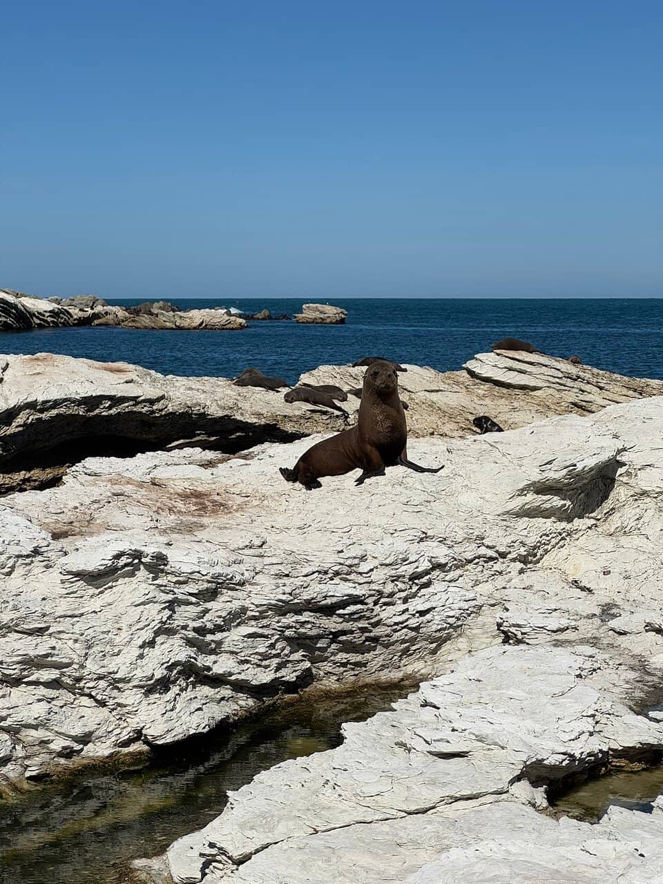 Scenic Coastal Walk