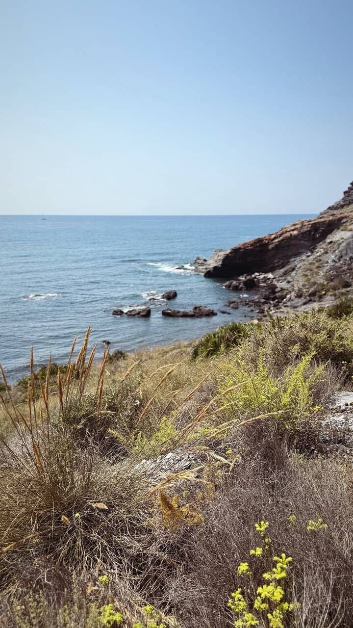 Snorkeling Haven