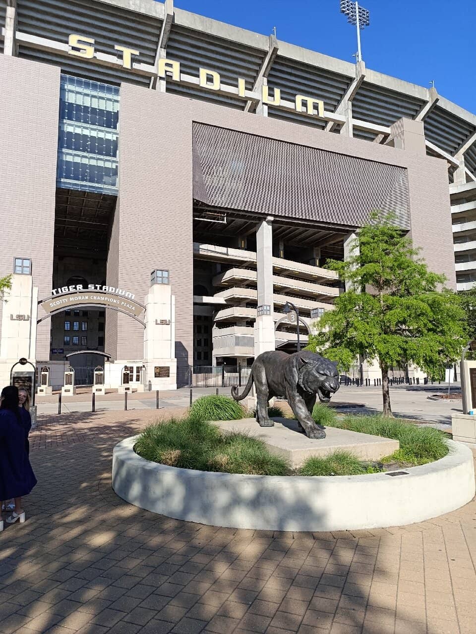 Jaguar Nation Atmosphere