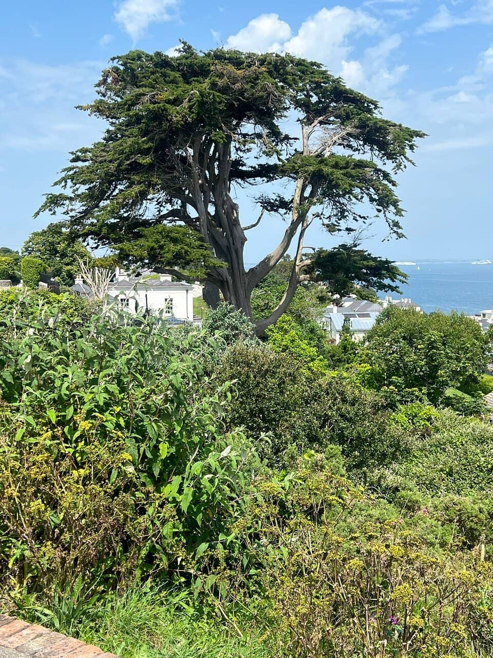 Vertical photo