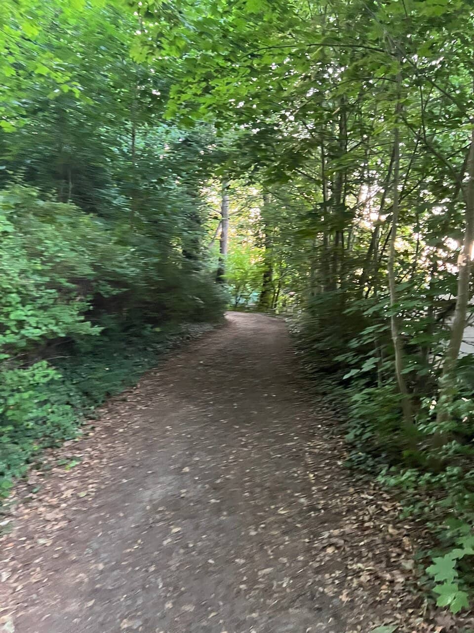 Strandbad Tegeler See