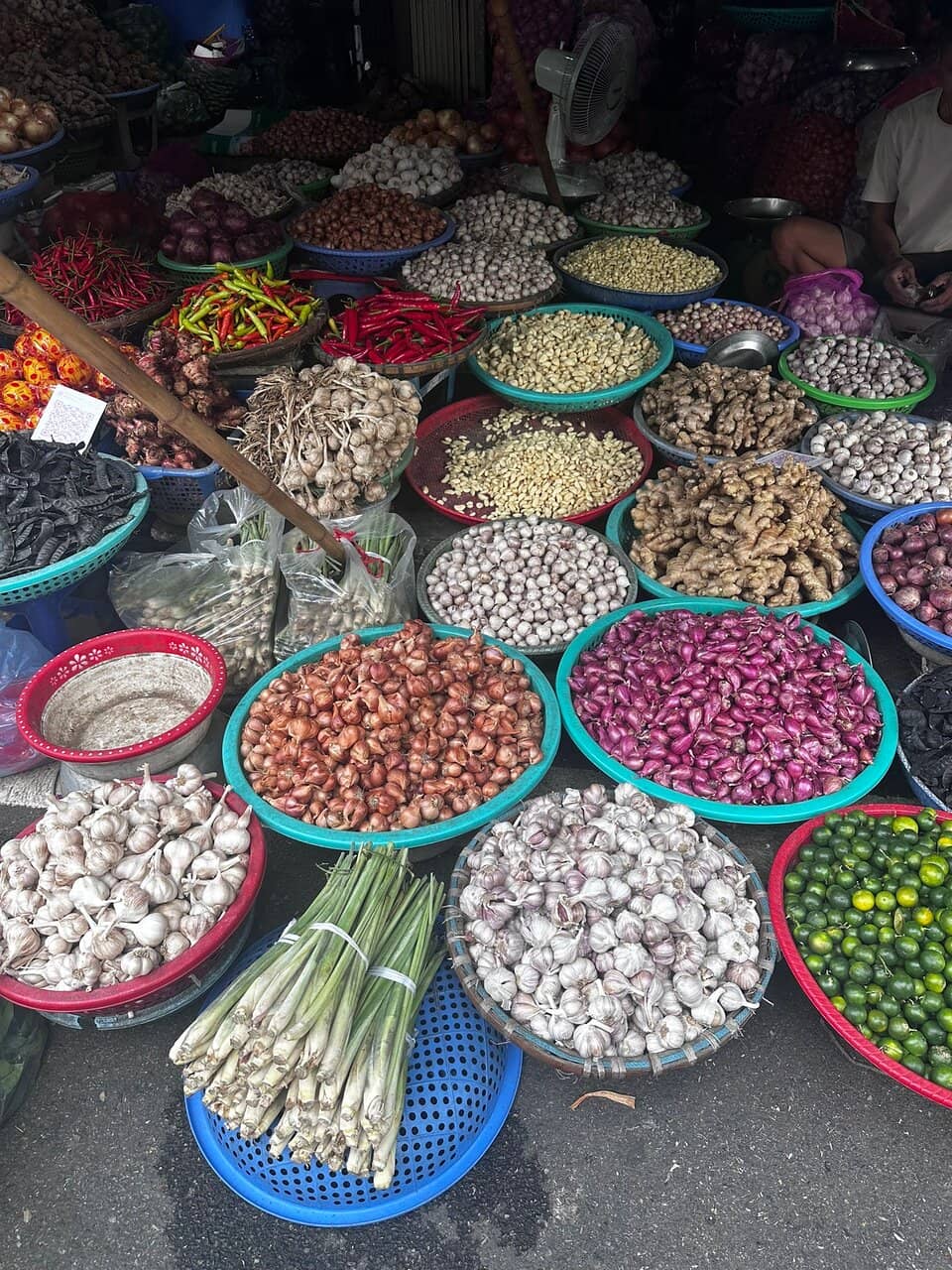 Cultural Insights from Local Guides