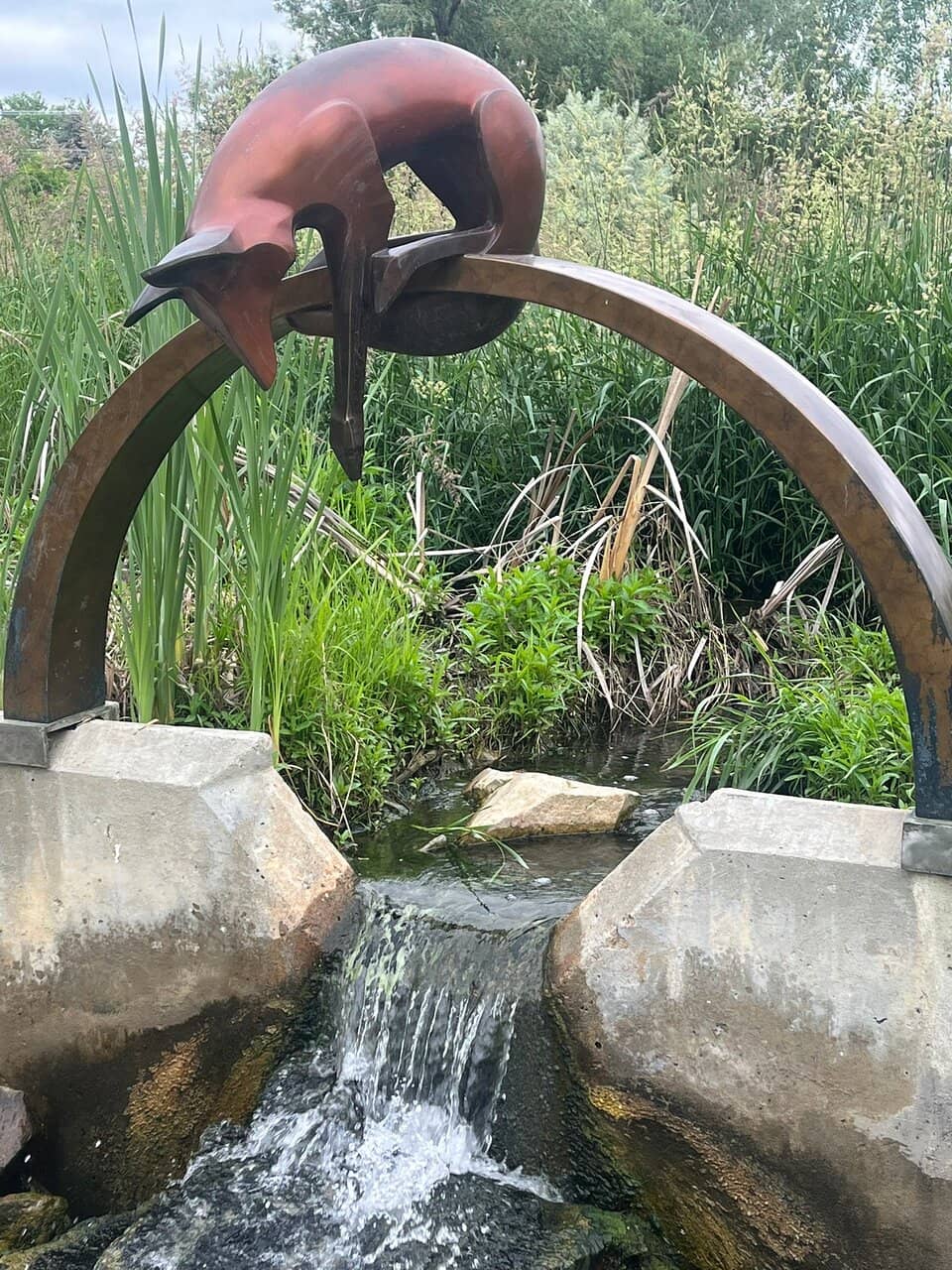 Ridge Runners Wolves