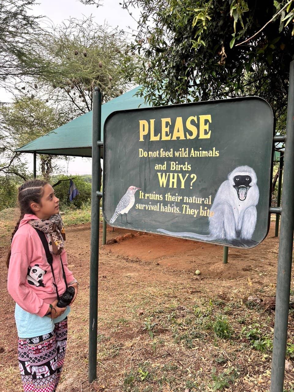 Rift Valley Escarpment Views