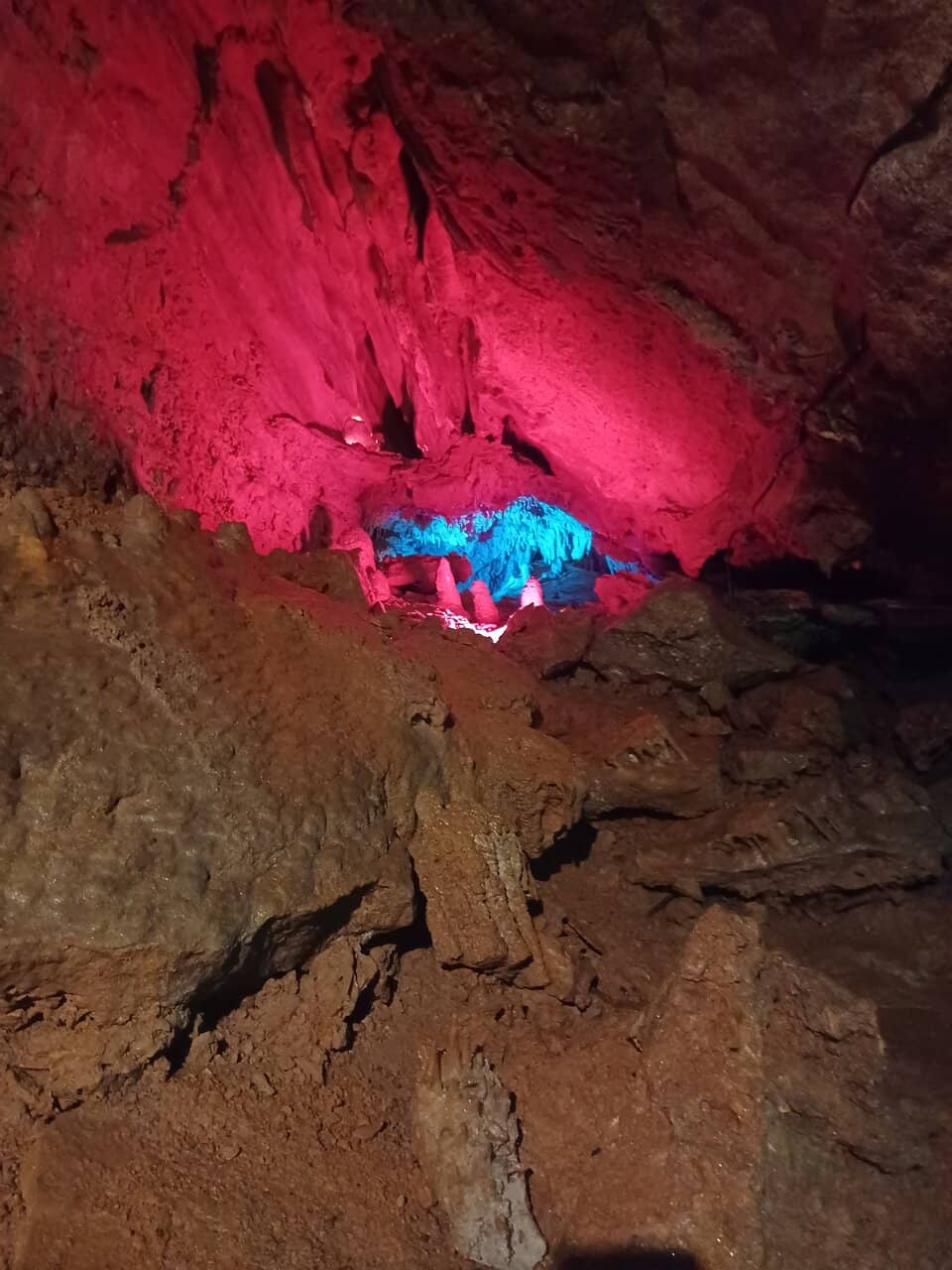 Knowledgeable Local Guides