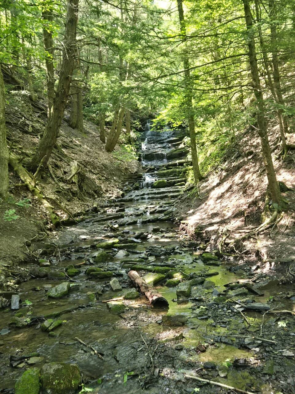 Indian Ladder Trail