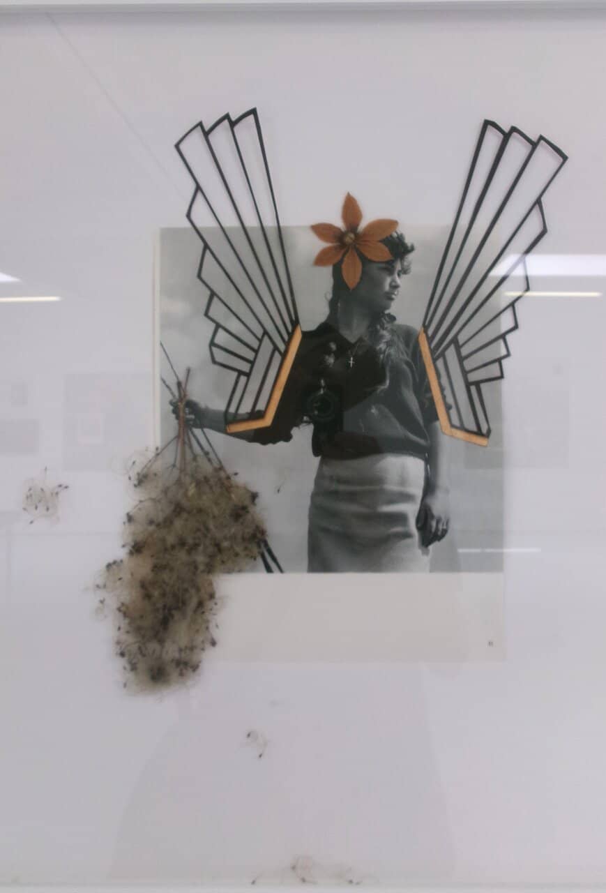 The Schwebebahn Overhead