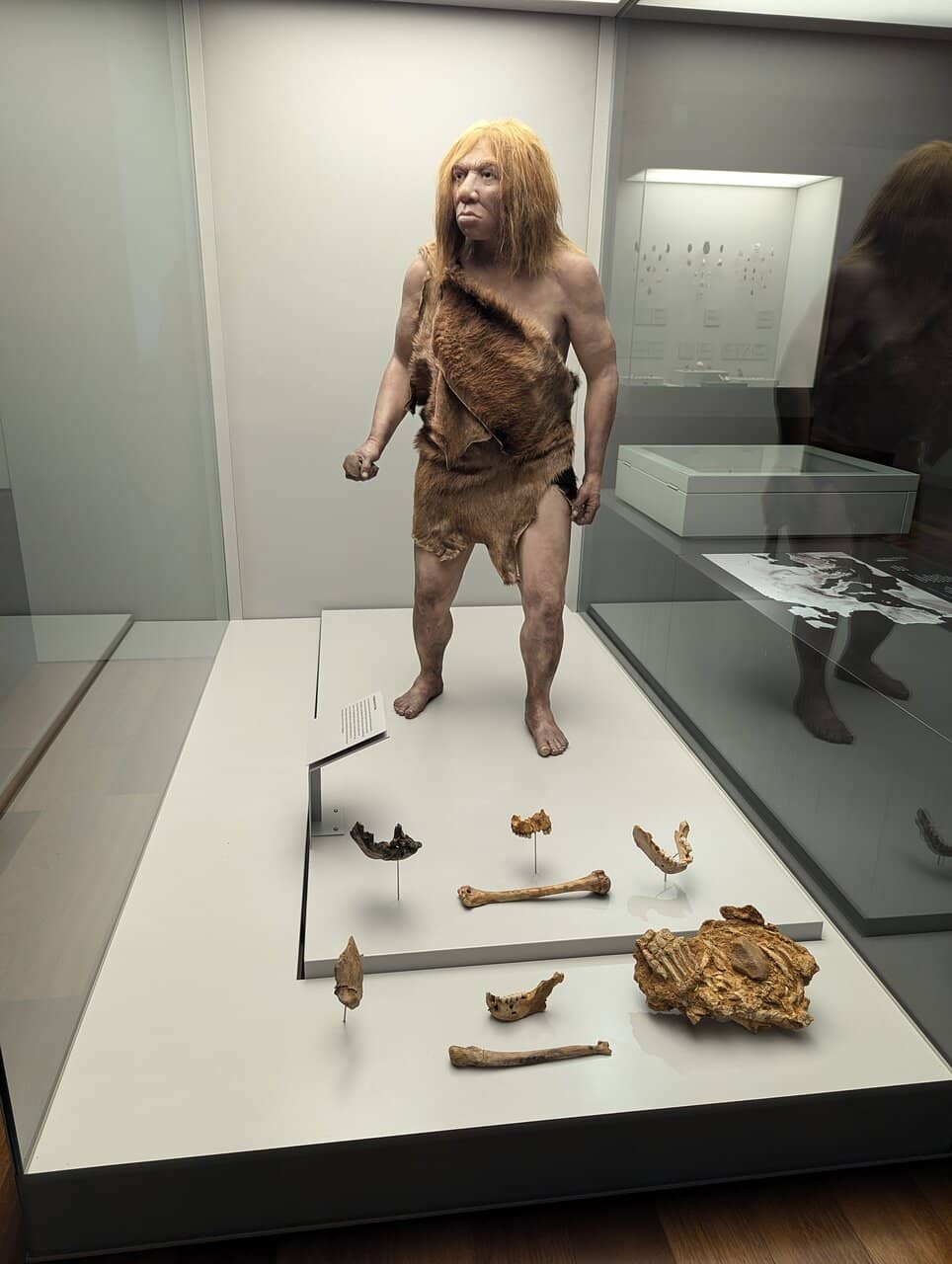 Historic Monastery Setting