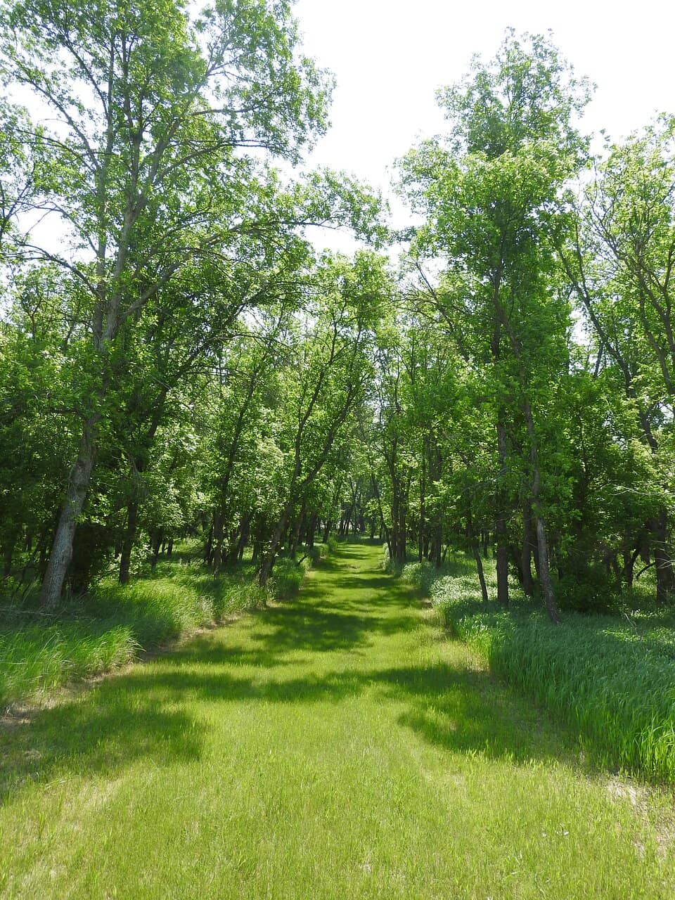 Visitor Center Museum
