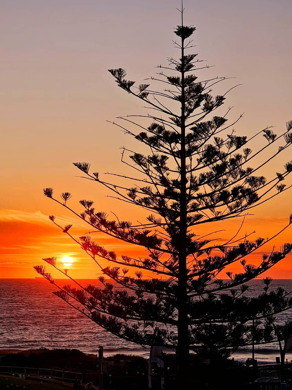 Breathtaking Sunsets