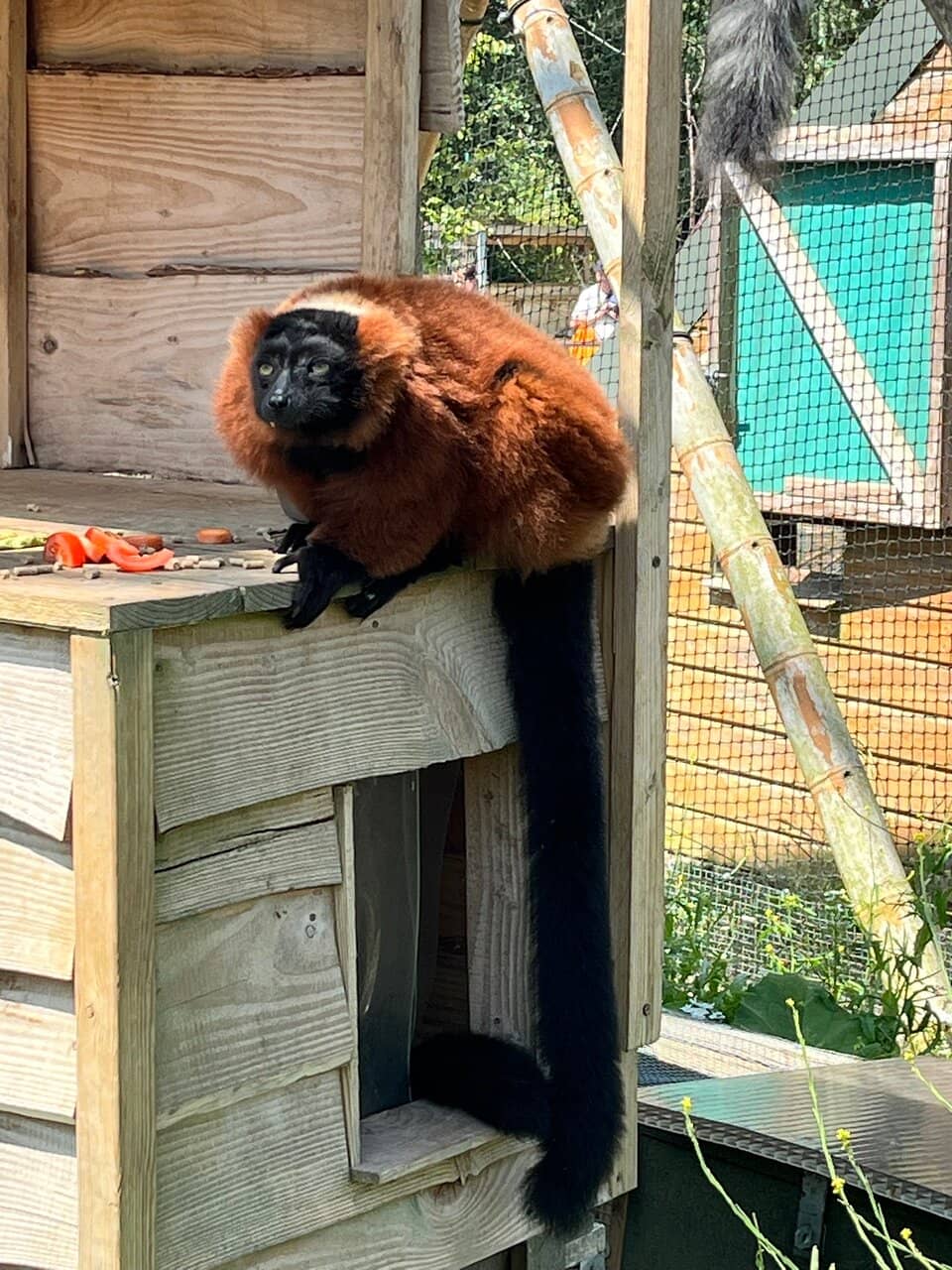 Tranquil Beachcombing