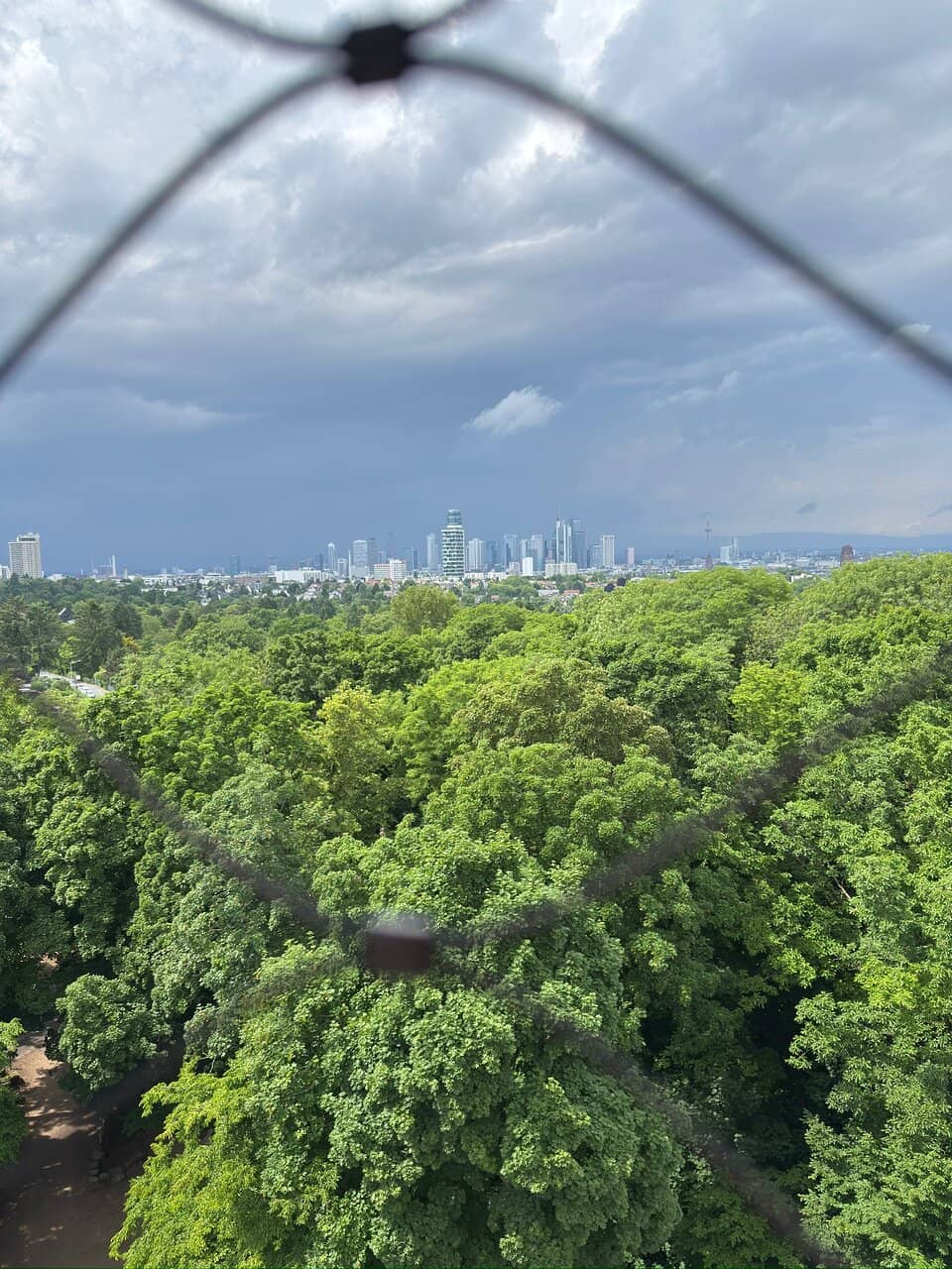 Panoramic Skyline Views