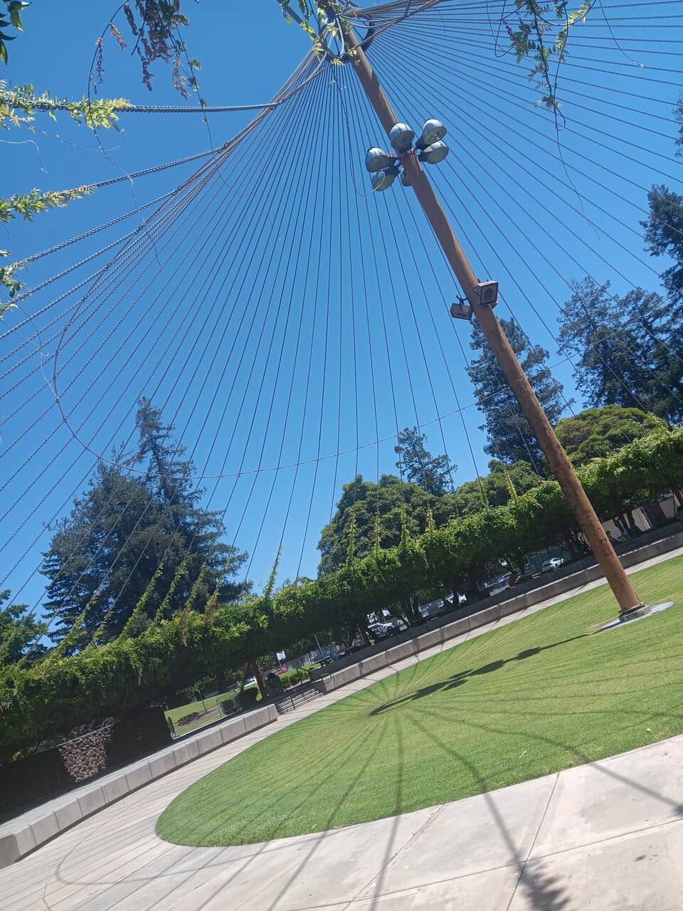 Vertical photo