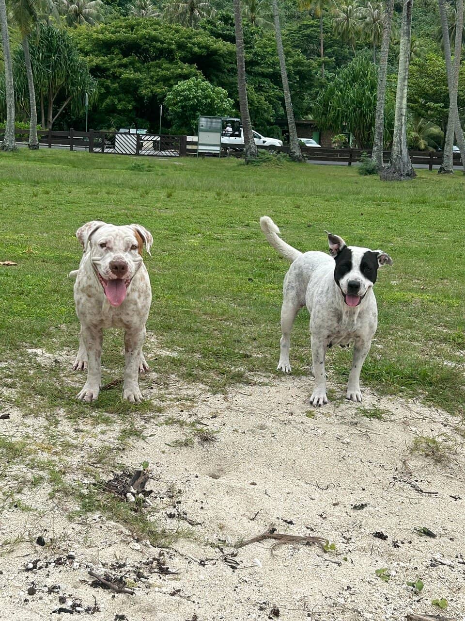 Spectacular Sunset Views