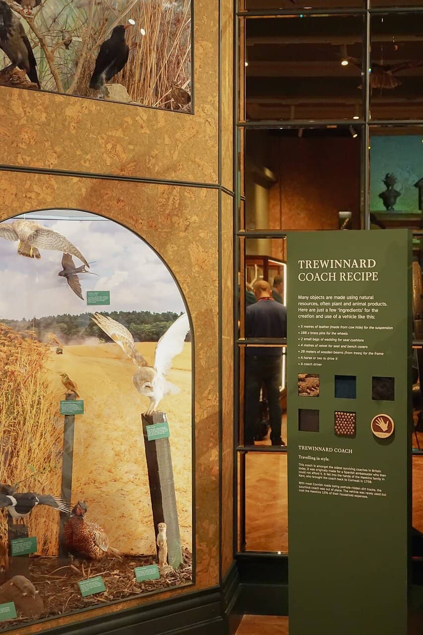 Cornish History & Wildlife