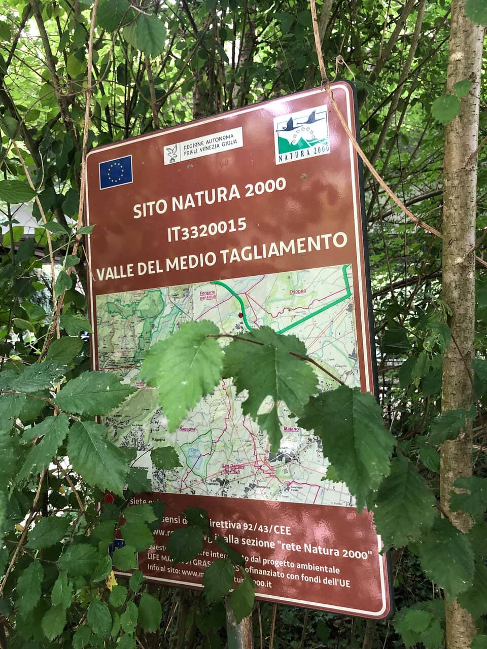 Diverse Ecosystem Exploration