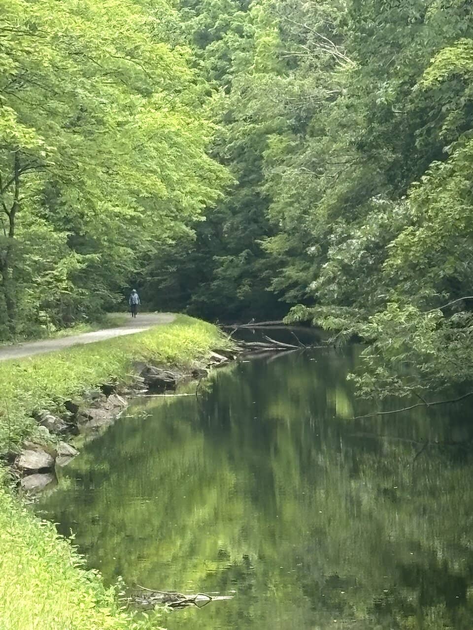 Fall Foliage Spectacle