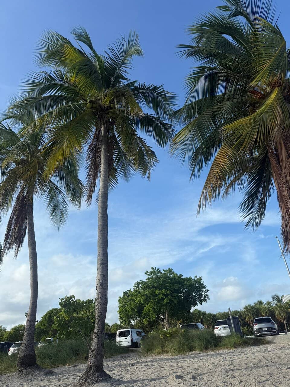 Vizcaya Village Farmers Market