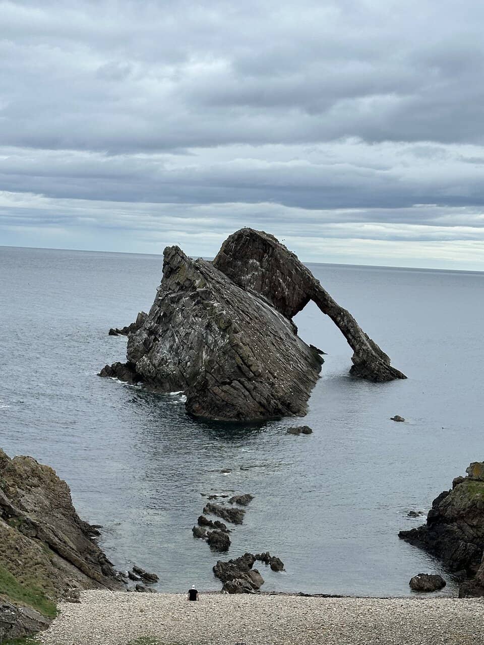 Seabird Watching