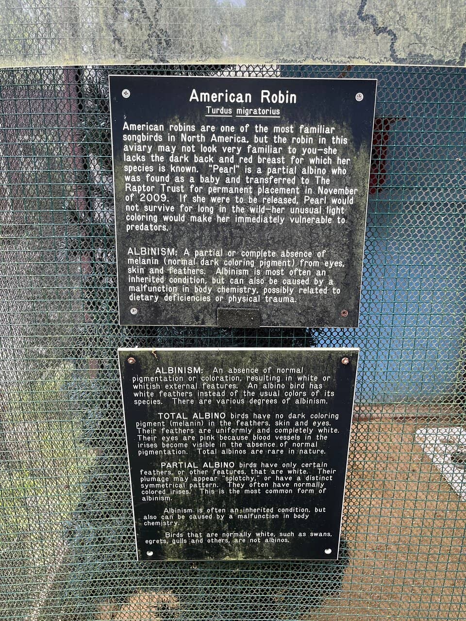 Dedicated Rehabilitation Center