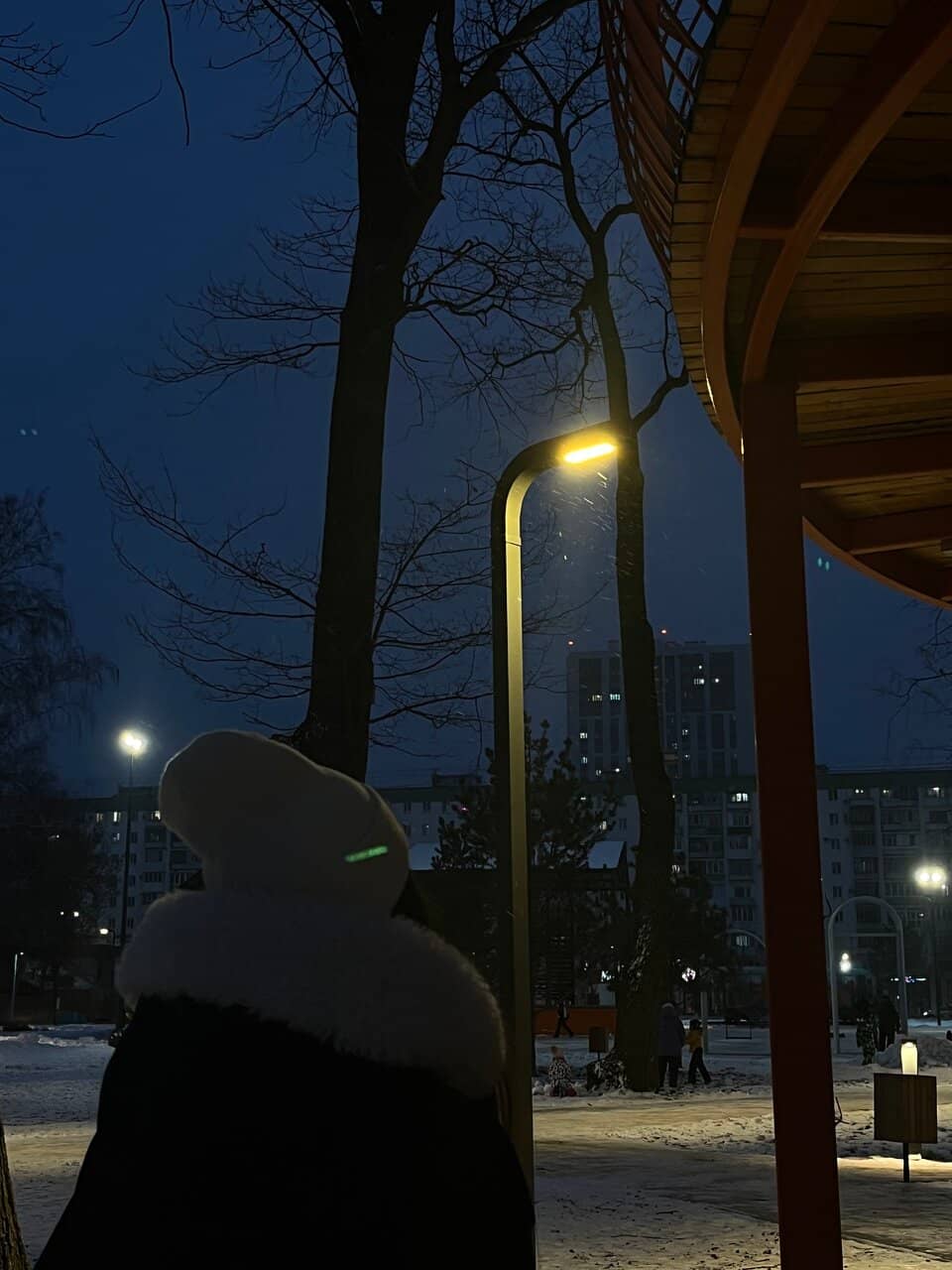 Vertical photo