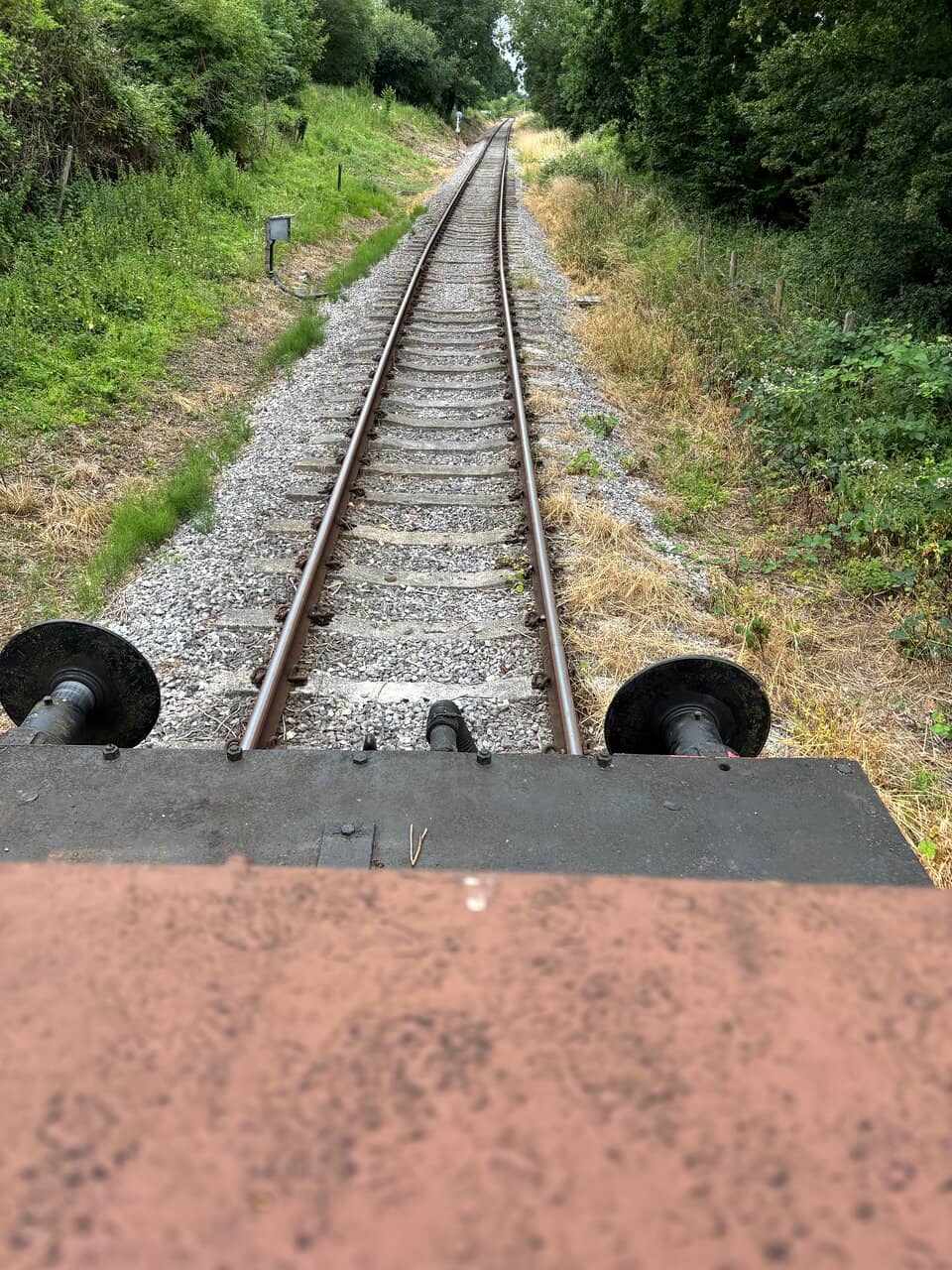 Volunteer Enthusiasm