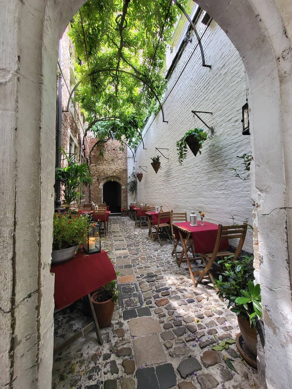Courtyard Charm